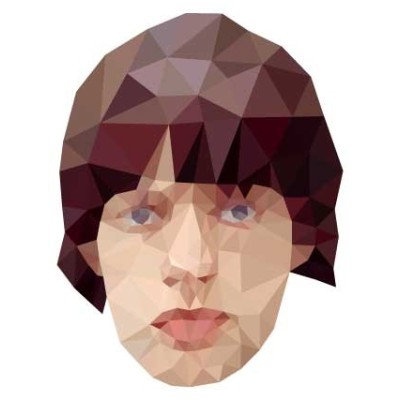 Young mick jagger poligonal