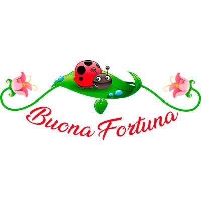 Buona fortuna coccinella