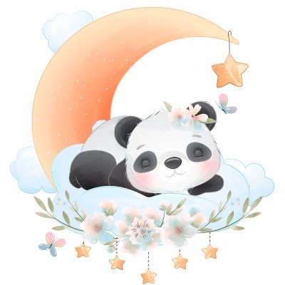 Panda con stellina