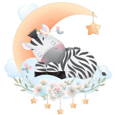 Zebra con stellina e corona