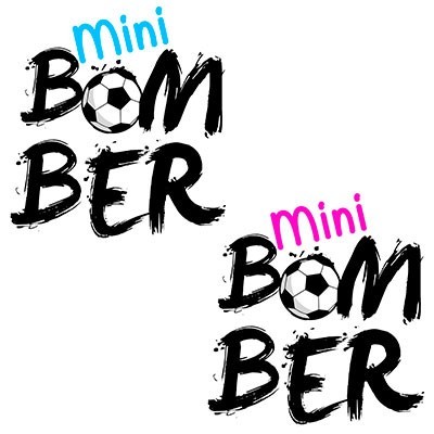 Mini boomer