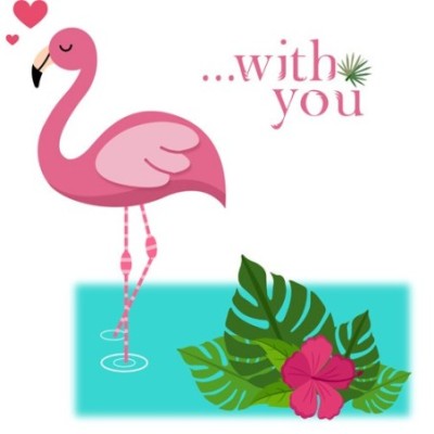 Fenicottero rosa with you